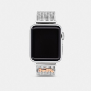 Coach Apple Watch® Strap, 38 Mm And 40 Mm Cinzentas | COH866273