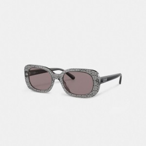 Coach Badge Rounded Square Sunglasses Cinzentas | COH866397