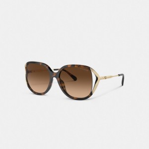 Coach Bandit Oversized Square Sunglasses Douradas | COH866384