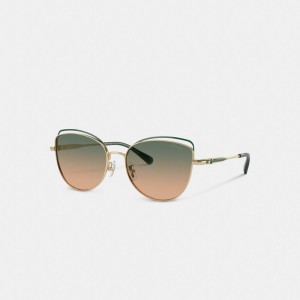 Coach Bandit Wire Oval Sunglasses Verdes Amarelas | COH866349