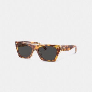 Coach Beveled Signature Square Sunglasses Bege | COH866391