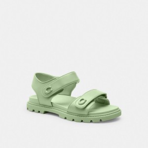 Coach Brynn Sandal Mostarda | COH865898