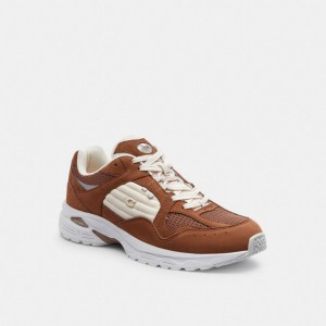 Coach C301 Sneaker Marrom | COH866793