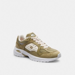 Coach C301 Sneaker Mostarda | COH865836