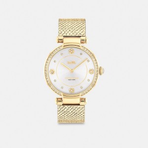 Coach Cary Watch, 34 Mm Douradas | COH866248