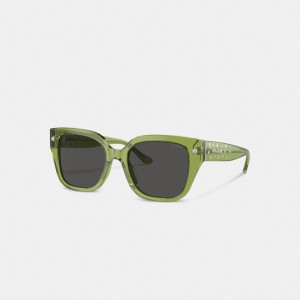 Coach Charms Oversized Square Sunglasses Verdes | COH866383