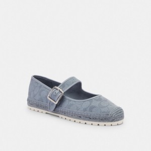 Coach Courtney Espadrille In Signature Canvas Cinzentas Azuis | COH865768