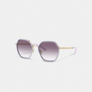 Coach Embellished Narrow Metal Hexagon Sunglasses Roxo | COH866347