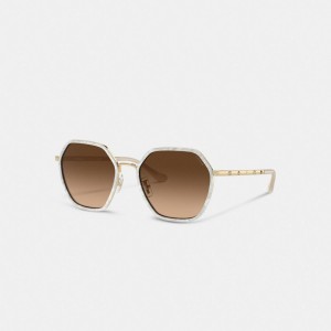 Coach Embellished Narrow Metal Hexagon Sunglasses Marrom | COH866379