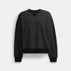 Coach Essential Signature Crewneck Cinzentas | COH865989