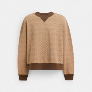 Coach Essential Signature Crewneck Marrom | COH866883