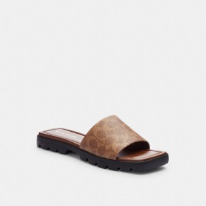 Coach Florence Sandal In Signature Canvas Caqui Azul Claro | COH865887
