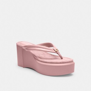Coach Franki Flip Flop In Signature Jacquard Luz Rosa | COH865875