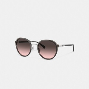 Coach Hangtag Geometric Round Sunglasses Cinzentas | COH866335