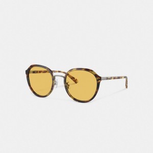 Coach Hangtag Geometric Round Sunglasses Laranja | COH866360