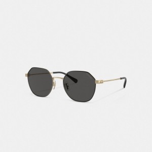 Coach Hinged Geometric Round Sunglasses Douradas Pretas | COH867080