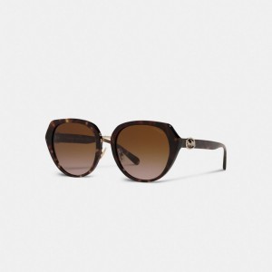 Coach Horse And Carriage Oversized Round Sunglasses Marrom | COH866376