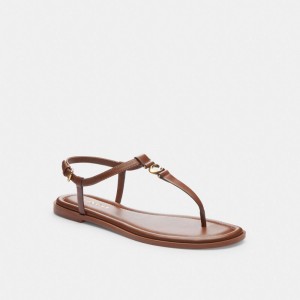 Coach Jessica Sandal Marrom | COH865902