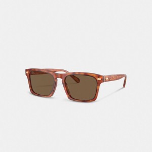 Coach Keyhole Square Sunglasses Marrom | COH867072