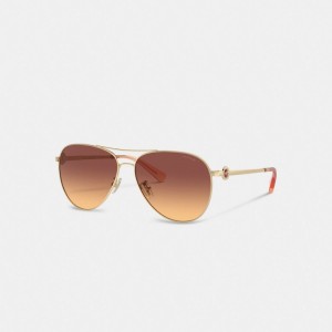Coach Metal Aviator Sunglasses Marrom Escuro | COH866377