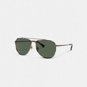Coach Metal Windsor Pilot Sunglasses Douradas | COH867078