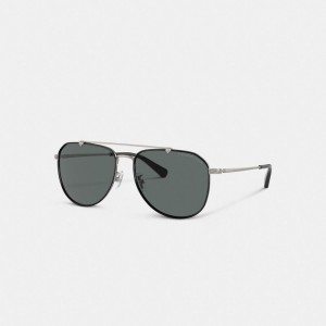 Coach Metal Windsor Pilot Sunglasses Pretas Cinzentas | COH867081