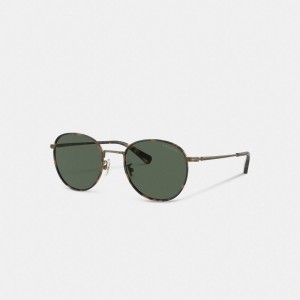 Coach Metal Windsor Round Sunglasses Douradas | COH867061