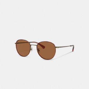 Coach Metal Windsor Round Sunglasses Marrom | COH867073