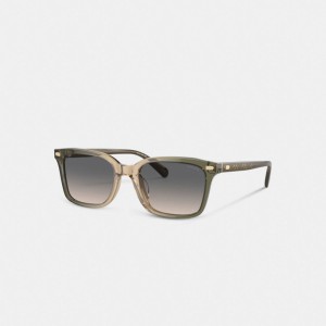 Coach Narrow Square Sunglasses Verdes Marrom | COH867083