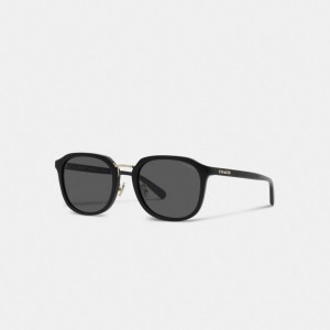 Coach Rounded Geometric Sunglasses Pretas | COH866374