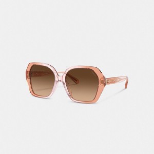 Coach Signature Ombré Geometric Square Sunglasses Marrom | COH866380
