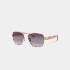 Coach Signature Ombré Narrow Pilot Sunglasses Roxo | COH866378