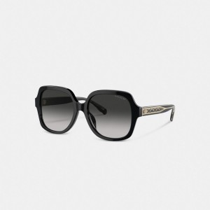 Coach Signature Ombré Oversized Square Sunglasses Pretas | COH866355