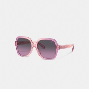 Coach Signature Ombré Oversized Square Sunglasses Rosa Roxo | COH866387