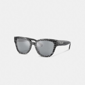 Coach Signature Round Sunglasses Prateadas | COH866393