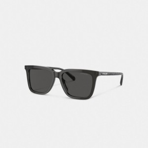 Coach Signature Square Sunglasses Cinzentas | COH867063