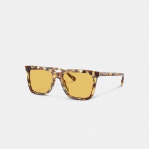 Coach Signature Square Sunglasses Laranja | COH867076