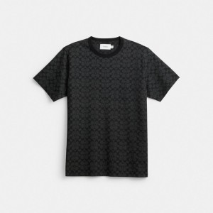 Coach Signature T Shirt Cinzentas | COH866920