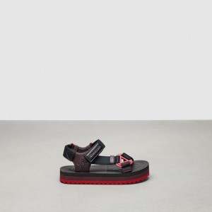 Coach Strappy Sandal Pretas Bordeaux Multicoloridas | COH865895