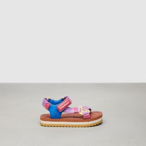 Coach Strappy Sandal Roxo Multicoloridas | COH865873