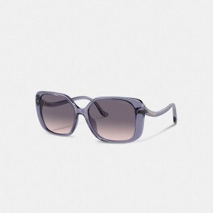 Coach Swoop Temple Rectangle Sunglasses Roxo | COH866343