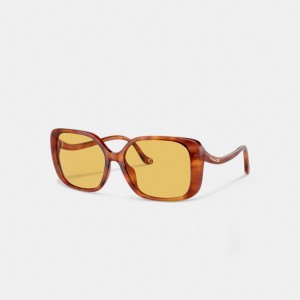 Coach Swoop Temple Rectangle Sunglasses Marrom | COH866375