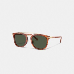 Coach Wrap Around Hangtag Browbar Sunglasses Marrom | COH867070