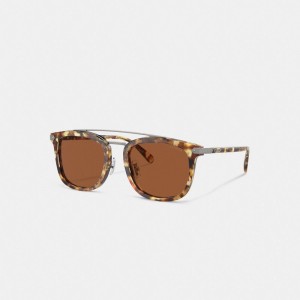 Coach Wrap Around Hangtag Browbar Sunglasses Laranja | COH867086