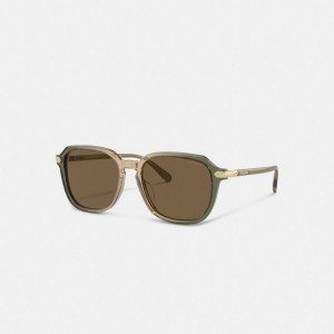 Coach Wrap Around Hangtag Keyhole Sunglasses Verdes Marrom | COH867084