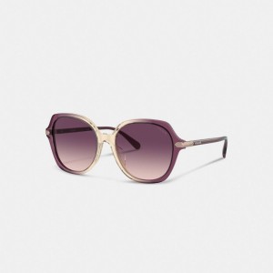 Coach Wrap Around Hangtag Oversized Geometric Round Sunglasses Roxo Bege | COH866373
