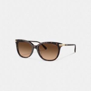 Coach Wrap Around Hangtag Square Sunglasses Marrom | COH866396