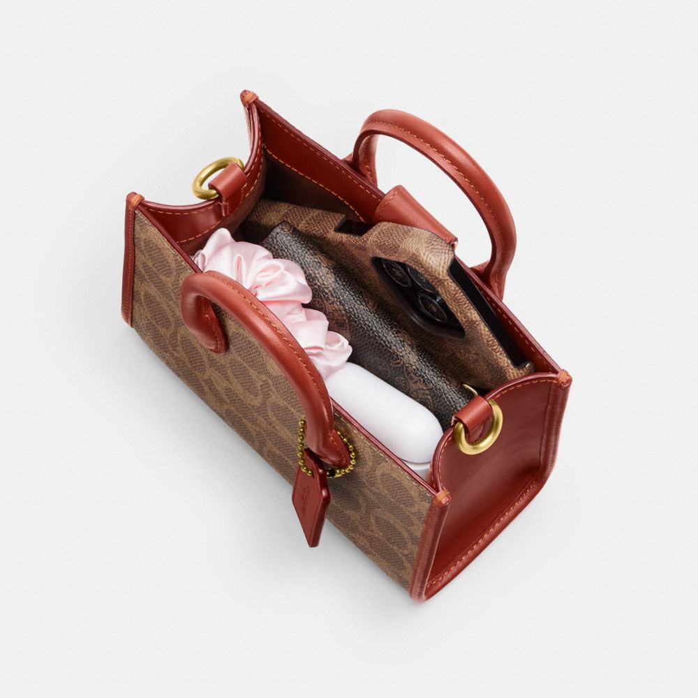 Coach Ace Tote Bag 17 In Signature Canvas Marrom Vermelhas | COH865334