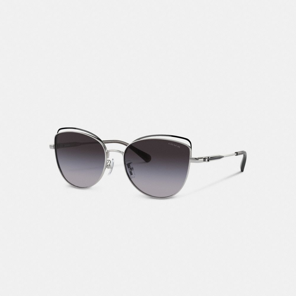 Coach Bandit Wire Oval Sunglasses Cinzentas | COH866327