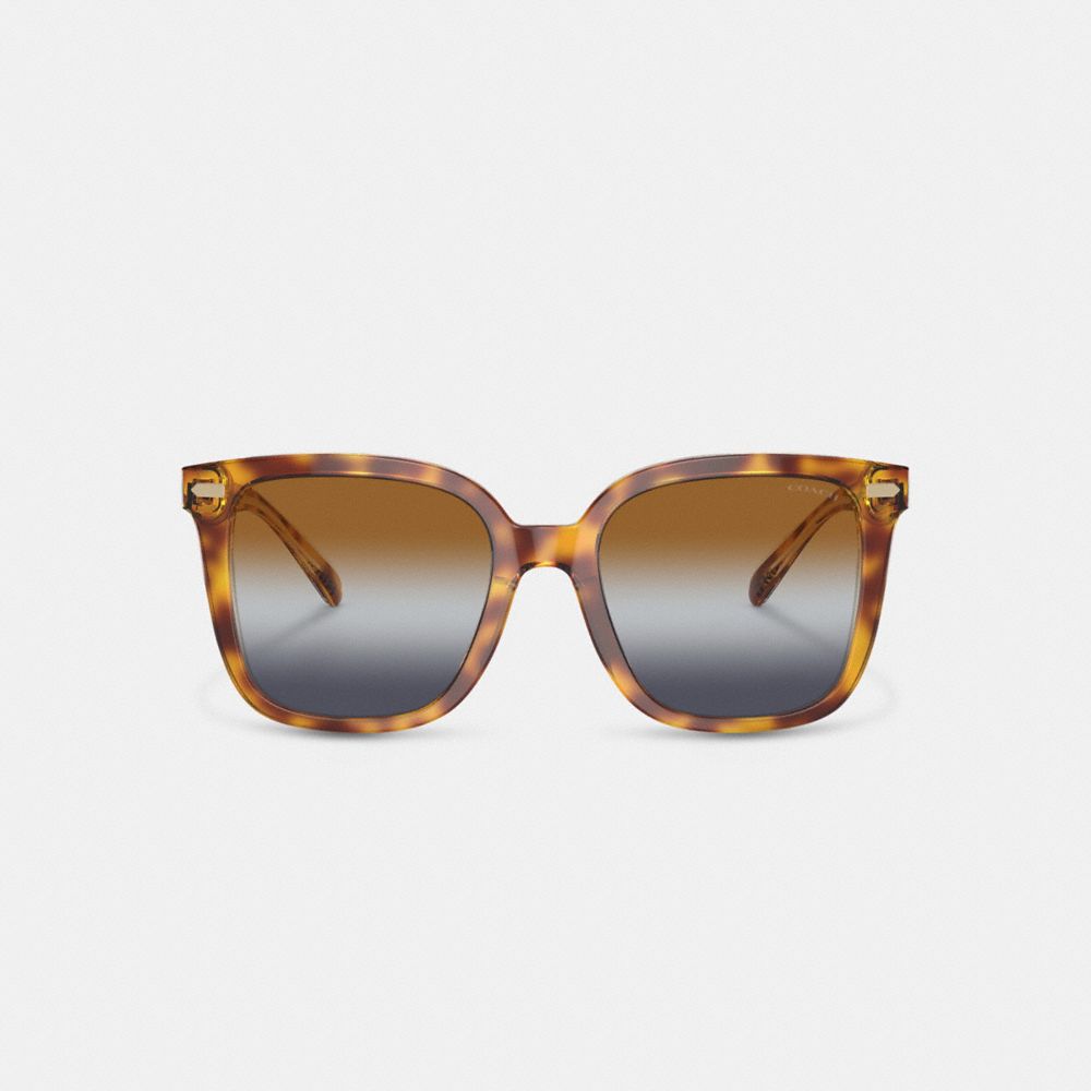 Coach Beveled Signature Oversized Square Sunglasses Marrom Azuis Cinzentas | COH866364